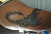Dream Tattooz